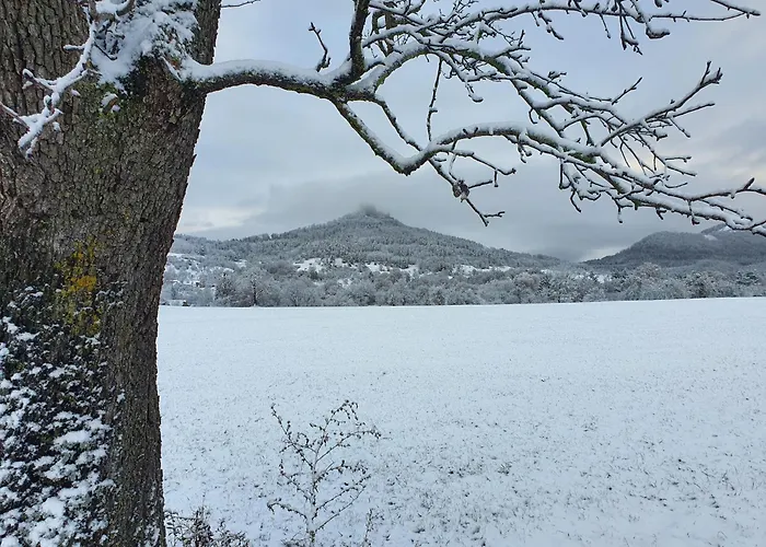 Apartamento Rabus Bisingen